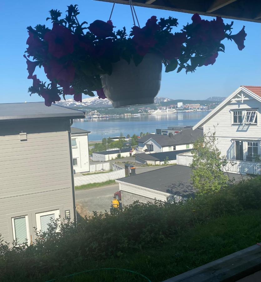 Polar Cozy Apartment - With View And Free Parking Tromso Ngoại thất bức ảnh