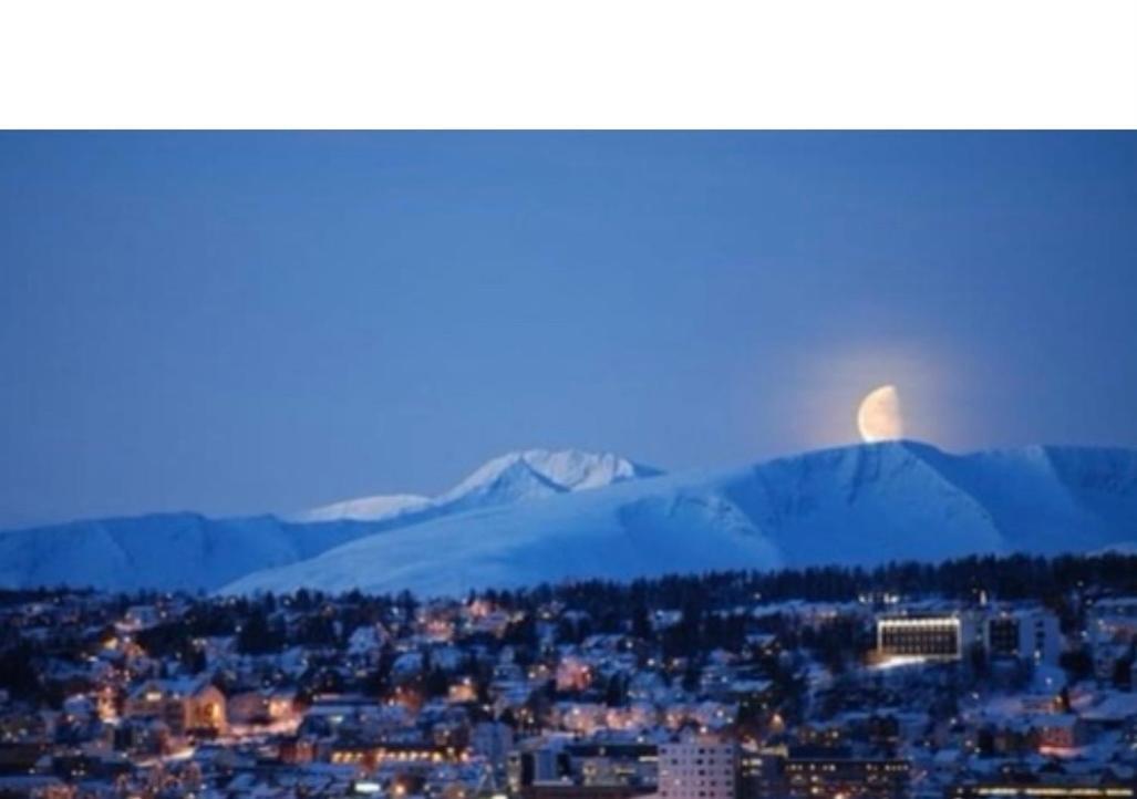 Polar Cozy Apartment - With View And Free Parking Tromso Ngoại thất bức ảnh
